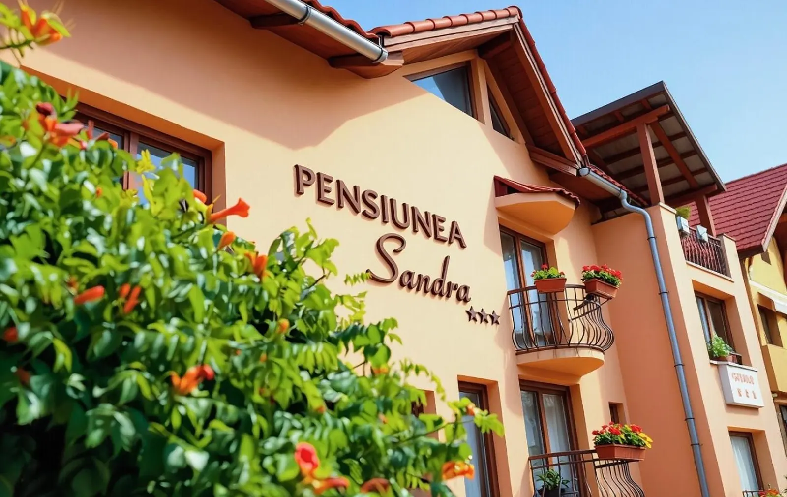 Pensiunea Sandra din Ocna Șugatag, Maramureș