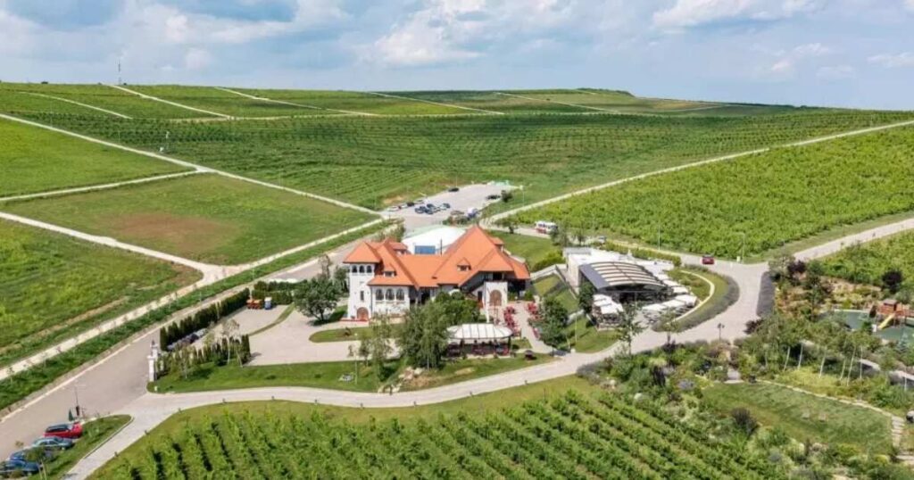 Casa Timiș locatie team building in romania