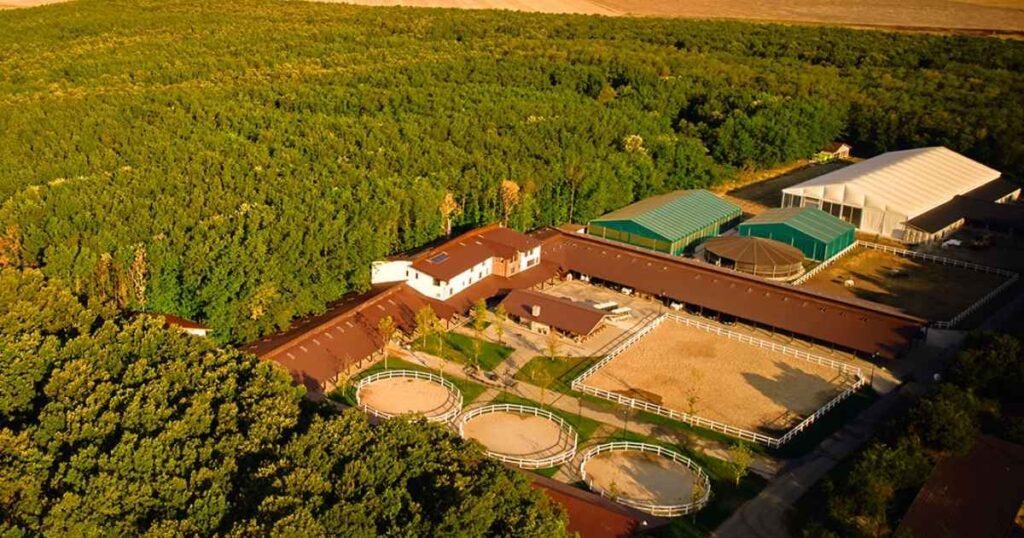 Singureni Manor locatie team building